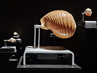 Hard Times &ndash; Soft Sounds